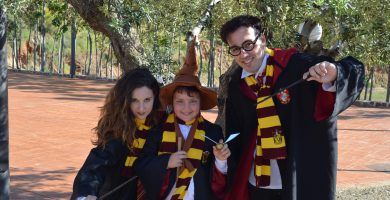 animaciones infantiles de harry potter